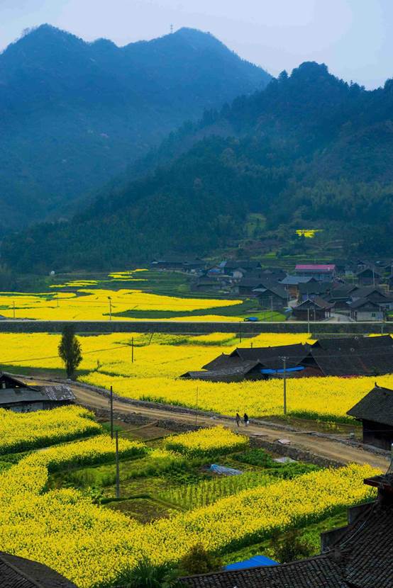 湖南森福木業(yè)有限公司,木結構別墅建造及制作,木涼亭建造及制作,木棧道建造及制作